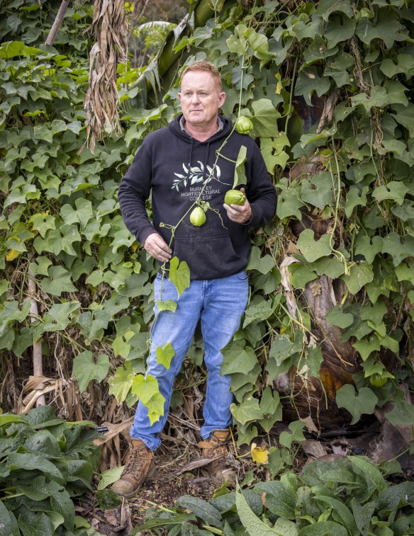 Williams with one of his choko vines growing at Burnley