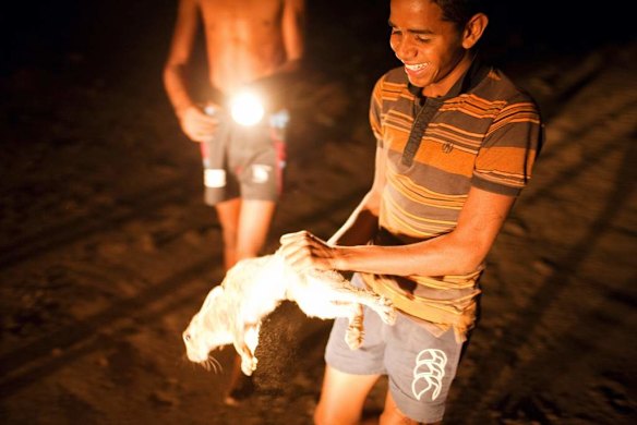 The locals capture a rabbit in bushland.