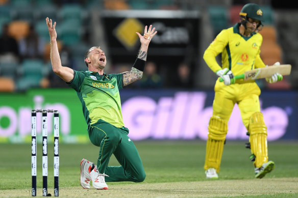 South Africa's Dale Steyn after removing Australia's Alex Carey during a one-dayer in Hobart last year.