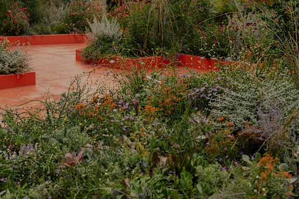 A coral pink deck ran through a joyous sea of plants