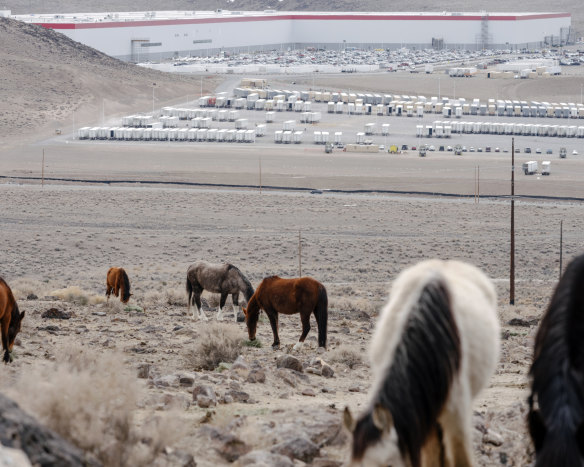 Wild horses graze in the hills above Tesla’s “Gigafactory”.