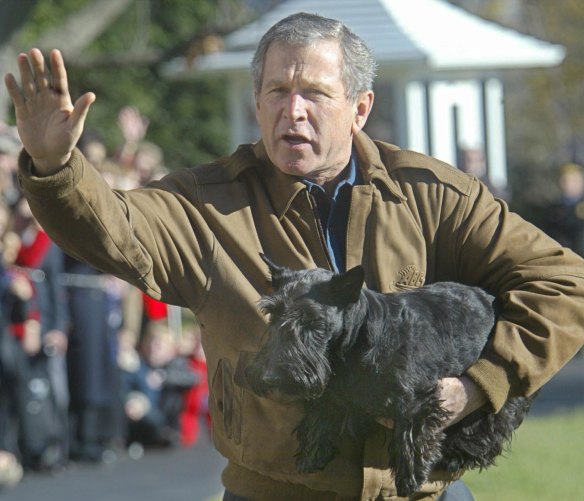 Former US president George W. Bush with his dog Barney.