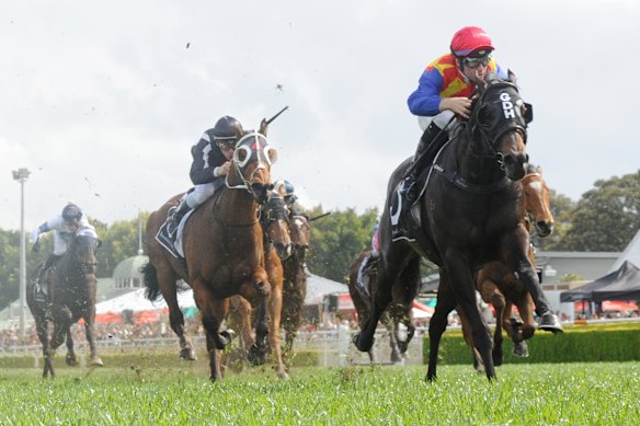 Jockey Tommy Berry rides Pierata to victory in race 6, the Camera House Sydney Stakes, during The Everest at Royal Randwick Racecourse.