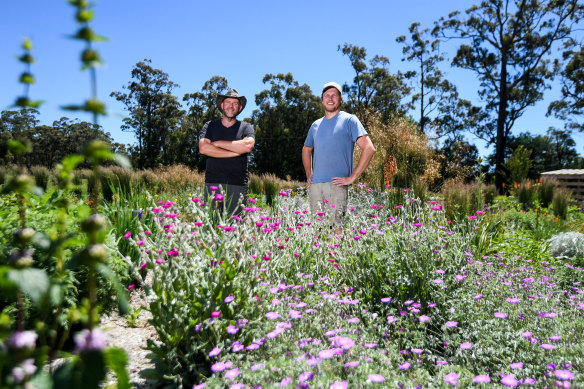 Matt Reed and Michael Morant in the display garden of their new retail nursery.
