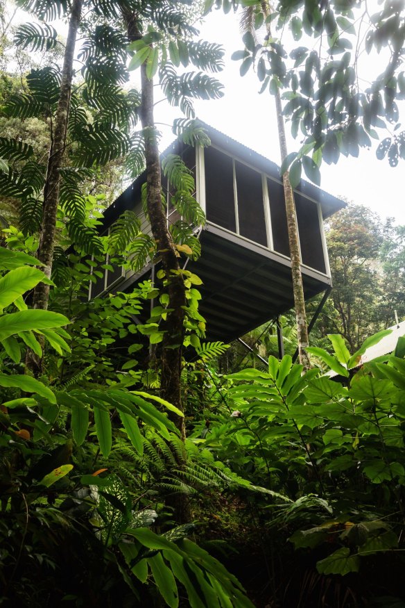 Lose yourself in the wonders of the world's oldest rainforest in these eco-friendly treehouses.