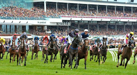 Brett Prebble on Green Moono celebrates with Corey Brown riding My Quest for peace.