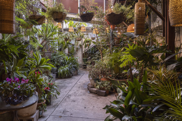 Everything is growing in pots in this space that is rented on a long-term lease