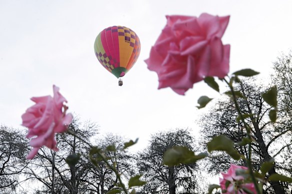 Balloons taking off from the front lawns of Old Parliament House for the Canberra Balloon Spectacular festival.