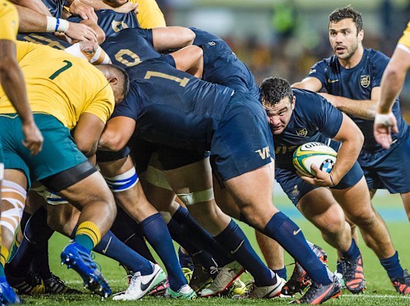 The Pumas advance a rolling maul near the Wallabies try line.