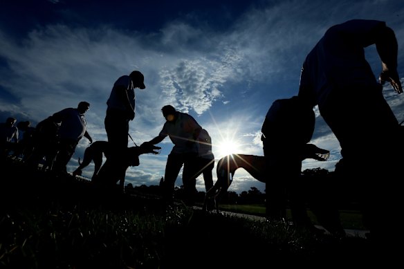 A Greyhound race meeting at Richmond on March 9, 2016 in Sydney, Australia. 