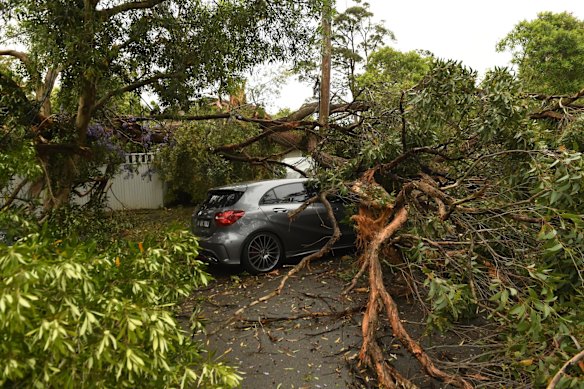 Storm damage in Davidson, Sydney.
