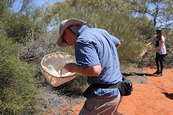 WA Museum researchers trap insects for a research project. 