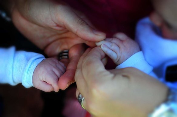 Family hands of Canberra Capitals coach Carrie Graf, with partner Camille Chicheportische, bearing rings exchanged, and baby twins Bentley and Charli.