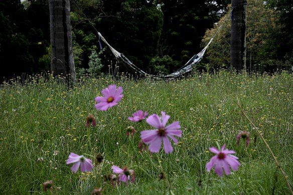 The alcohol and drug rehabilitation facilities of WHO (We Help Ourselves) within the confines of Callan Park in Roselle. The extensive gardens and areas are utilised by patients for their therapy and healing.