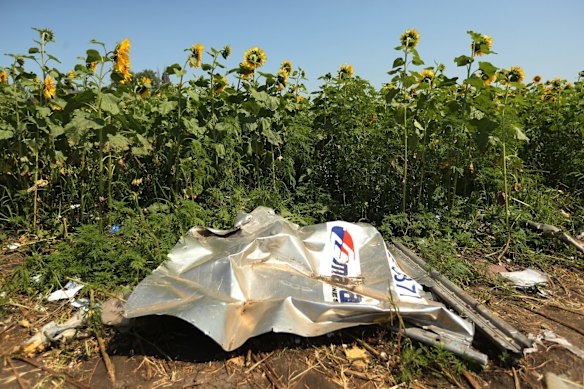 A piece of plane debris at one of the sites where the front section of Malaysian flight MH17 crashed and the pilots bodies where found, on the outskirts of Rassypnoe village in the self proclaimed Donetsk People's Republic, Ukraine. 26th July, 2014. Photo: Kate Geraghty