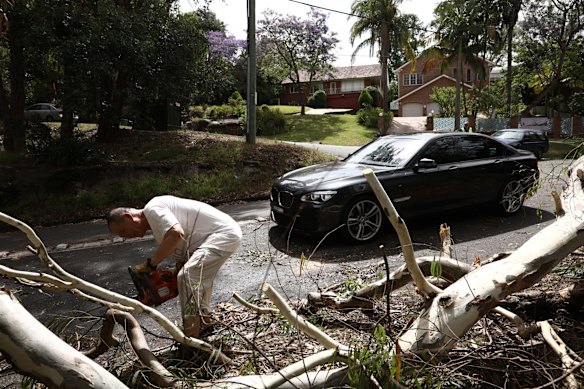 A fallen tree branch on Vale street in Gordon after a storm passed in Sydney.