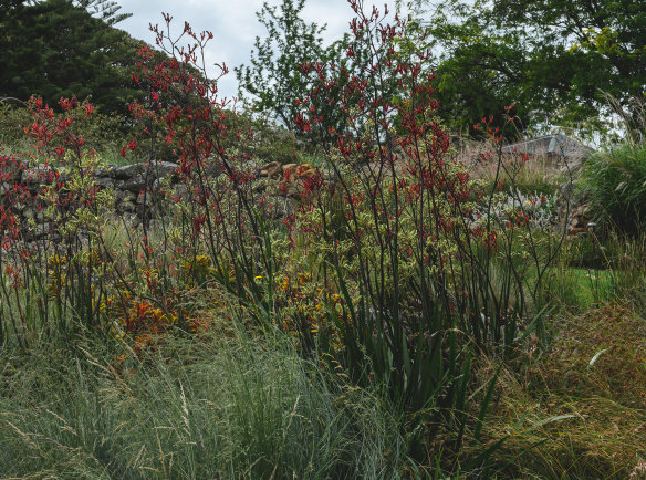 Loose plantings weave around stone walls.