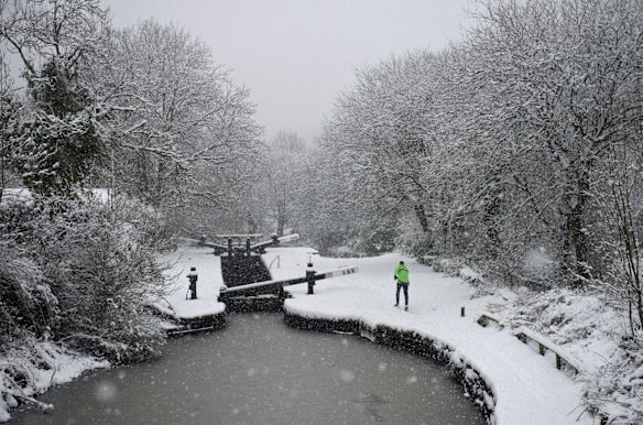 Picture Editor's choice 23rd January 2015