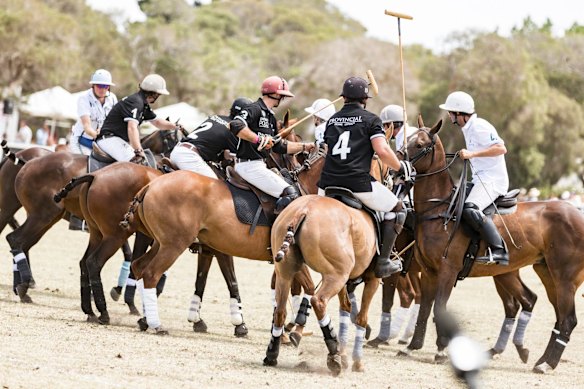 On field match action at Portsea Polo. 
