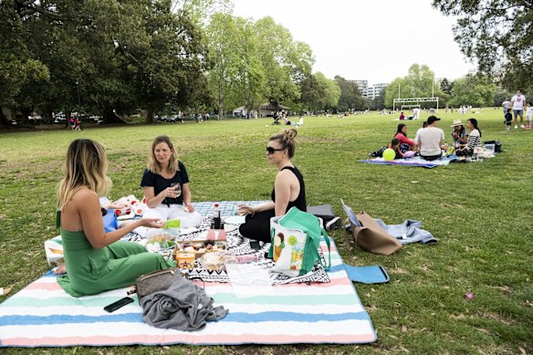 Groups picnic at Rushcutters Bay, as restrictions slightly ease.