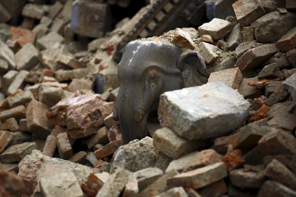 A statue of an elephant is pictured in the debris of a collapsed temple a day after an earthquake in Bhaktapur, Nepal April 26, 2015. 