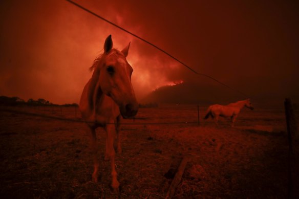 A bushfire burning south of Canberra threatening livestock near Bumbalong in NSW.
