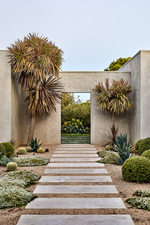 A coastal garden designed by Phillip Withers that keeps lawn to a minimum and uses creeping thyme in some areas