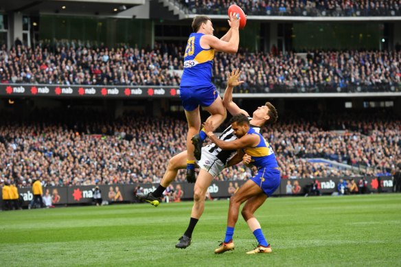 Jeremy McGovern flies high against the Pies in last year's grand final.