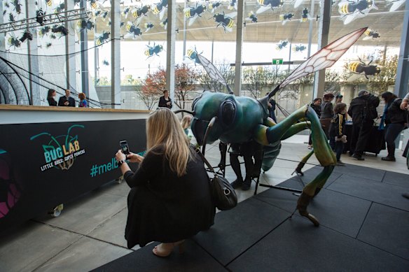 Forget fidget spinners, super bugs the latest buzz