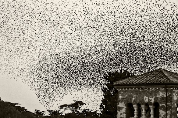 Black Sun #148, Rome.