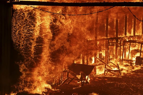 A horse stable burns as a bushfire burning south of Canberra threatens communities in Bumbalong.