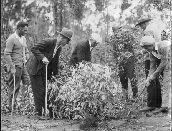 Police testing the soft soil for recent digging. April 13, 1932