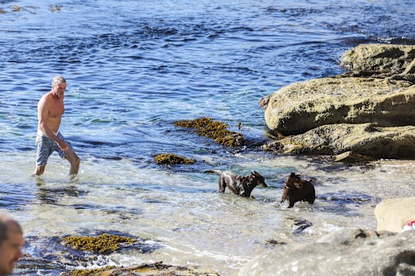 Manly Beach during lockdown in July.