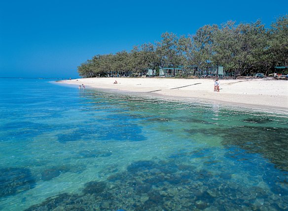 Lady Elliot Island, sometimes known as 'Manta Heaven', at the southernmost point of the Great Barrier Reef.