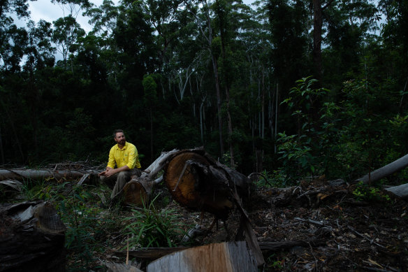 Dean Kearney, a senior planning manager for the state-owned Forestry Corporation, sits in an area of the Lower Bucca State Forest where logging has recently been conducted.