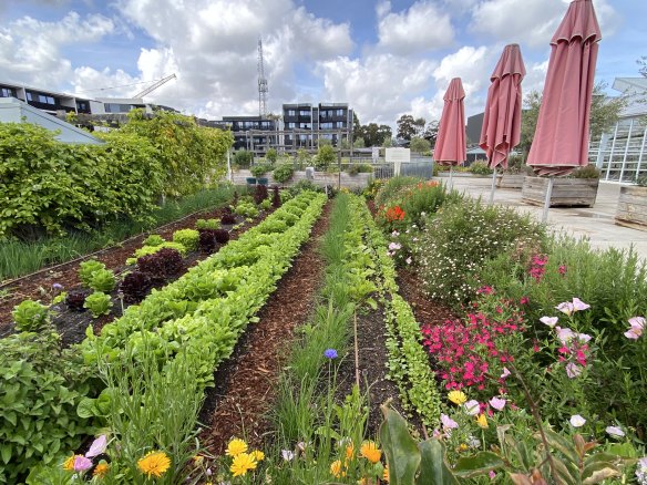 Acre Urban Farm on a shopping centre in Melbourne’s eastern suburbs
