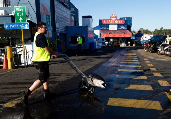 Early morning at the Sydney Fish Market in the busy week before Christmas. 