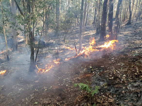 A fire burning in normally damp rainforest near the World-Heritage listed Mt Hyland nature reserve.