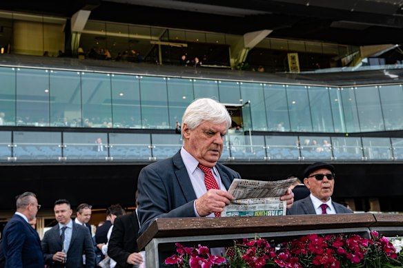 The crowd at Everest Day, Royal Randwick Racecourse.