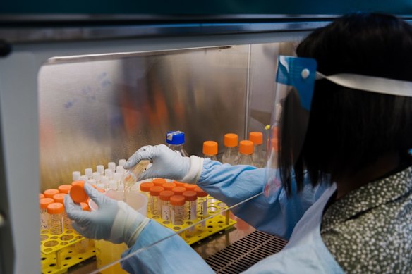 A team of scientists are quickly screening the growing tide of mutant viruses that reach Australia’s borders.