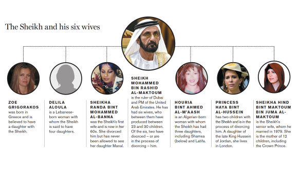 The Sheikh and his six wives.