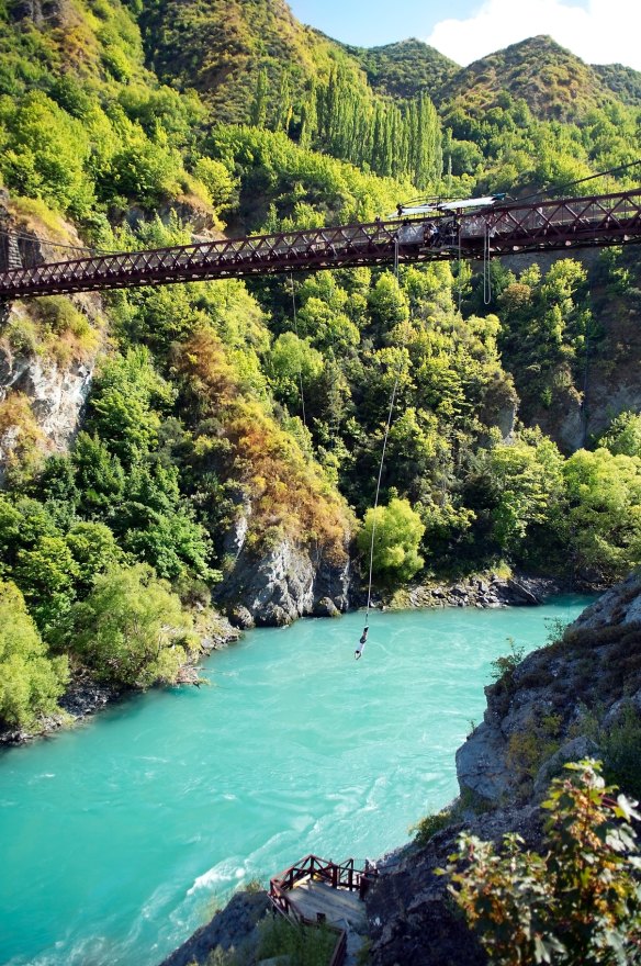 You can blame the Kiwis for starting the whole bungy jumping craze.