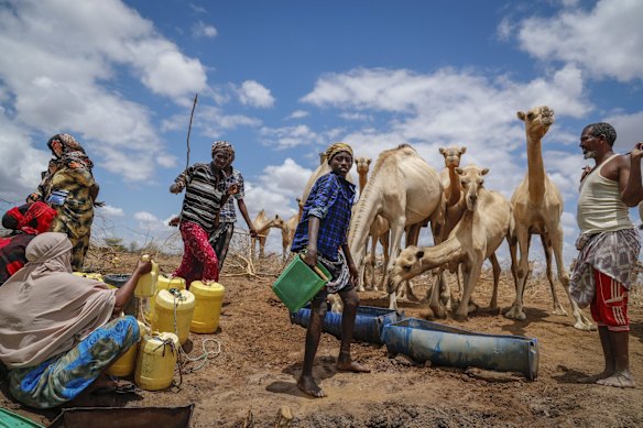 Herders supply water from a borehole to give to their camels near Kuruti, in Garissa County, Kenya.