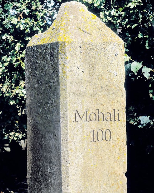 The magic three-figure milestone: Murali Vijay and Shikhar Dhawan reached it in Mohali, even Nathan Lyon (with the ball) ... it's just Australia?s batsmen who have been falling short.