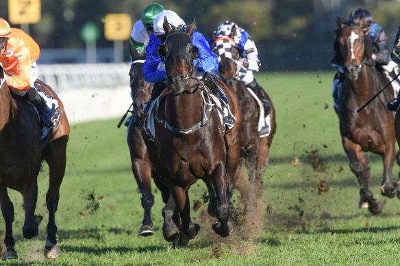 Loving it: Gaulois ploughs through the mud for Rachel King in the Civic Stakes.