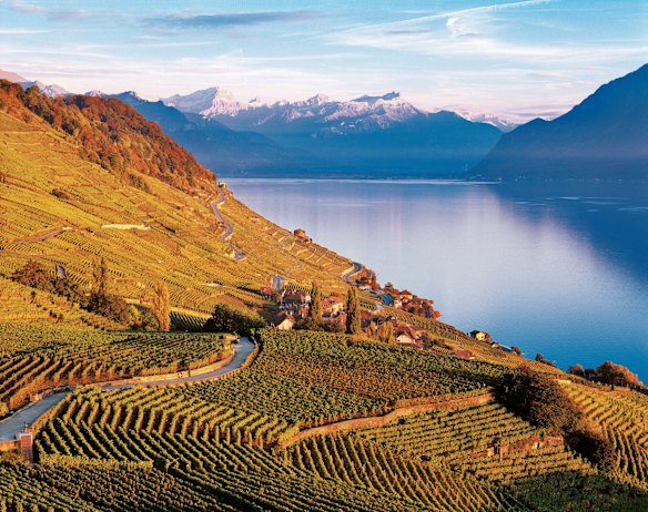 The world's top 10 best places to see autumn leaves and colours
