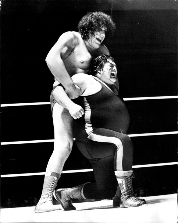 Andre the Giant vs Bull Ramos.
