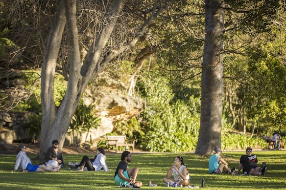 People enjoying spring picnics in the Botanic Gardens, Sydney, in the lovely Spring weather during COVID lockdown.