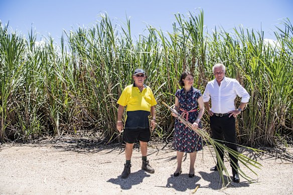 Sugarcane farmer Robert Quirk, Premier Gladys Berejiklian and Geoff Provest, Member for Tweed. Tumbulgum, Tweed Valley. January 19, 2021.