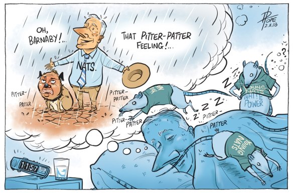 The Canberra Times' editorial cartoon for Friday, November 2, 2018.